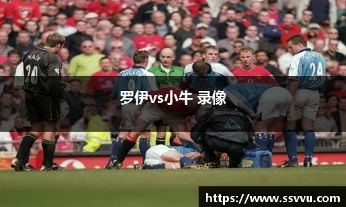 罗伊vs小牛 录像