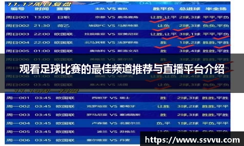 观看足球比赛的最佳频道推荐与直播平台介绍