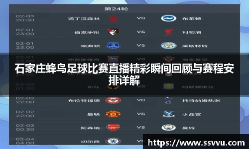 石家庄蜂鸟足球比赛直播精彩瞬间回顾与赛程安排详解