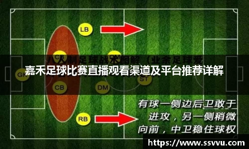 嘉禾足球比赛直播观看渠道及平台推荐详解